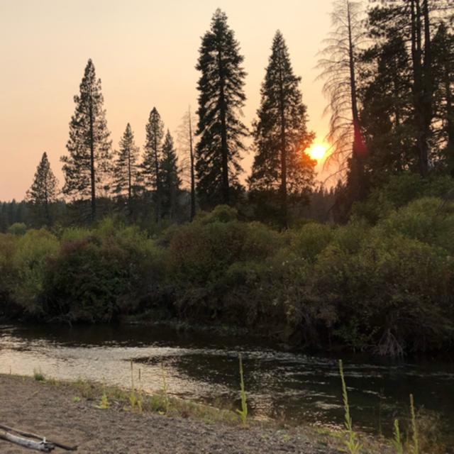 Episode 50: Autumn Evening at the Upper McCloud River - podcast episode cover