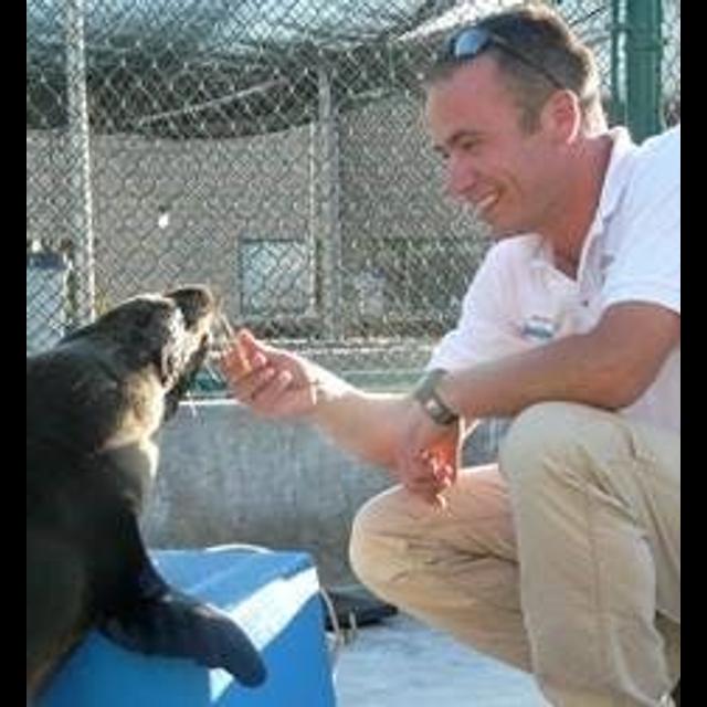 Episode 179: Pacific Marine Mammal Center w/Dr Hendrik Nollens - podcast episode cover