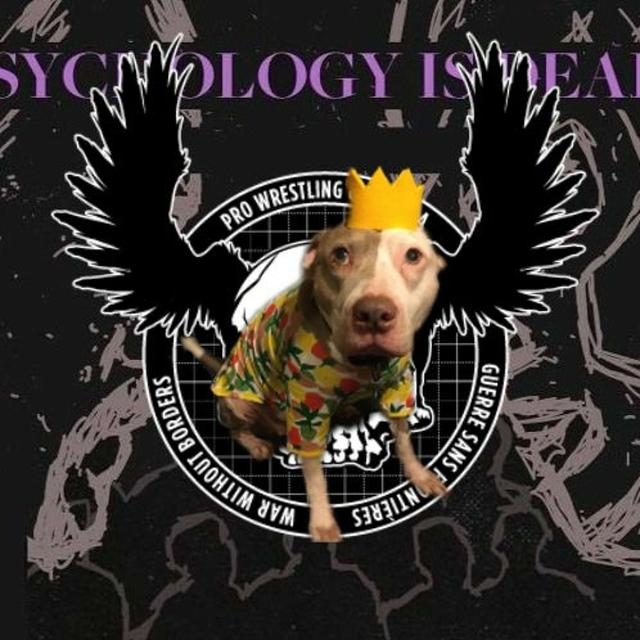 Psychology is Dead: Top 50 Wrestlers of 2010s Part 3 - podcast episode cover