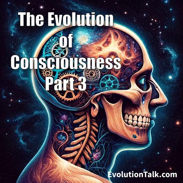 The Evolution of Consciousness - Part 3 - podcast episode cover