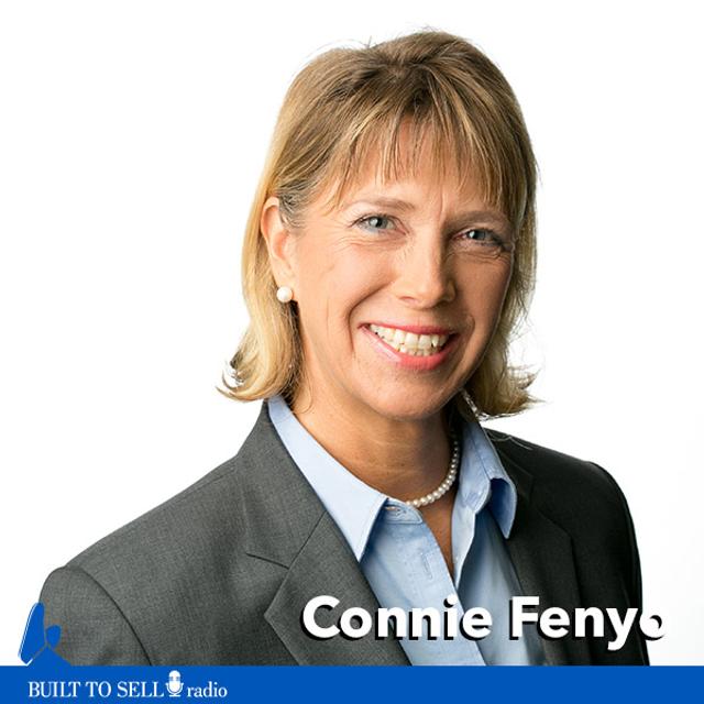 Ep. 178 Buying a Business to Sell It - podcast episode cover