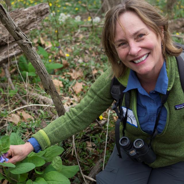 Forest Bathing - podcast episode cover