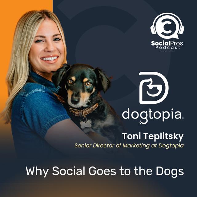 Why Social Goes to the Dogs - podcast episode cover