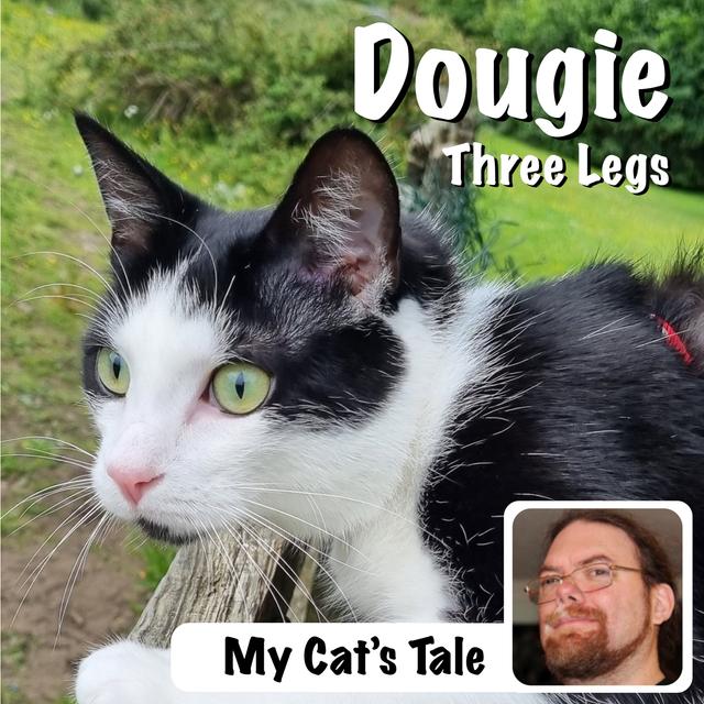 My Cat’s Tale – Dougie Three Legs - podcast episode cover