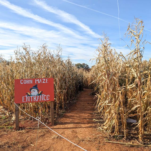 049 - Fall Pumpkin & Corn Maze Season and 2023 PYO Strawberry Planting - podcast episode cover