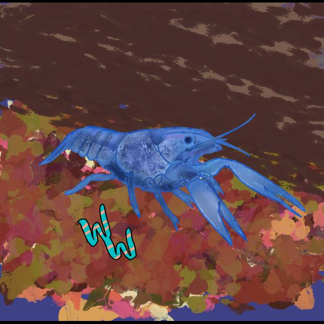 Crayfish - podcast episode cover