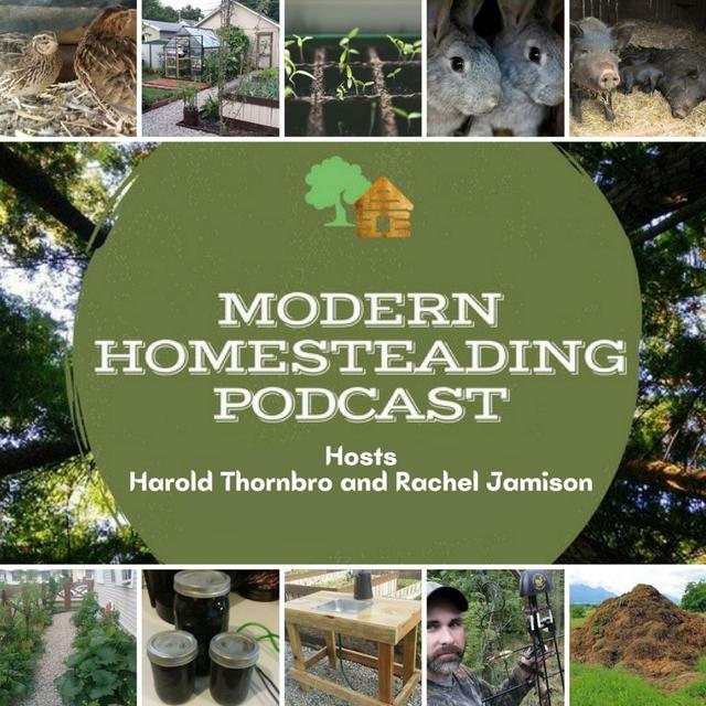 Fishing To Provide Food For The Homestead With Guest Cannon Kirby - podcast episode cover
