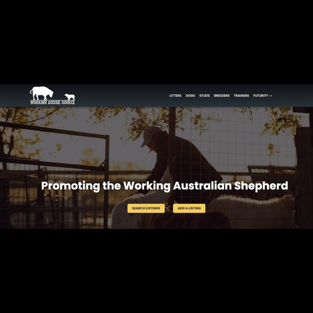 The Working Aussie Source Big Announcement - podcast episode cover