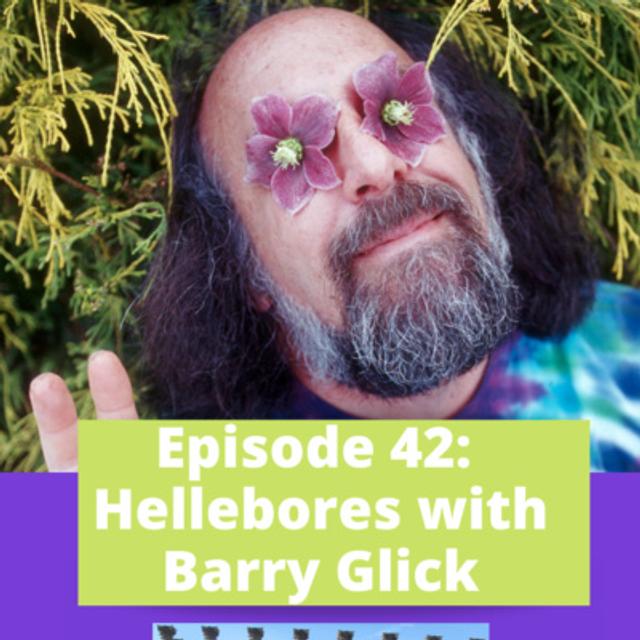 Hellebores - podcast episode cover
