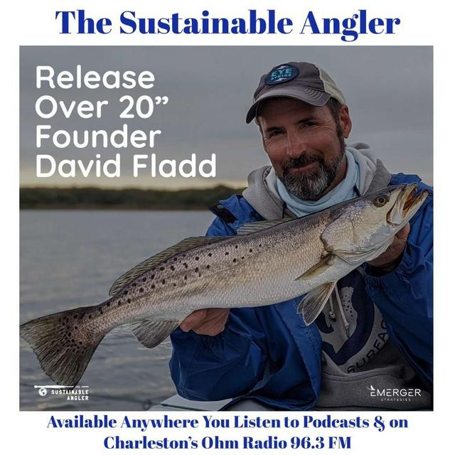 EP 50 Release Over 20 Founder David Fladd - podcast episode cover