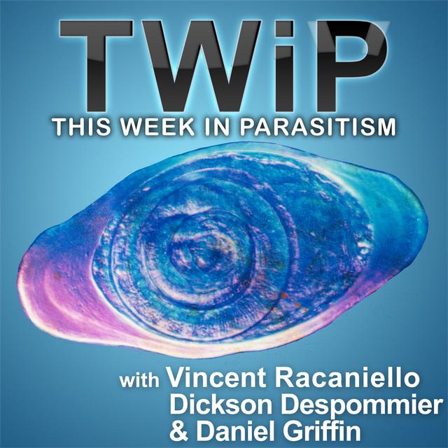TWiP 99: You get your polar bear from your nana - podcast episode cover