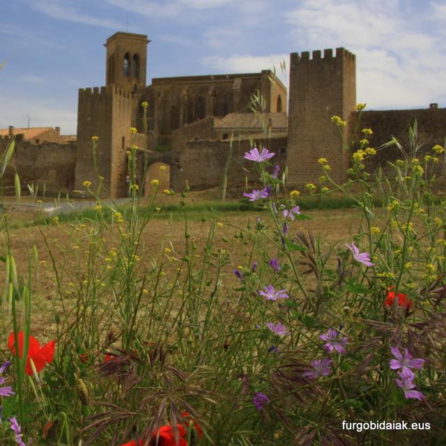 Los Viajes de Nautilus 02x01 - Ruta medieval por navarra - podcast episode cover