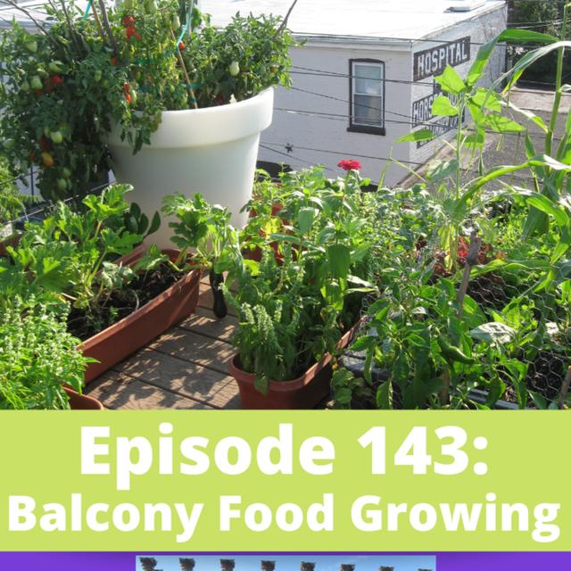 Balcony Food Growing - podcast episode cover