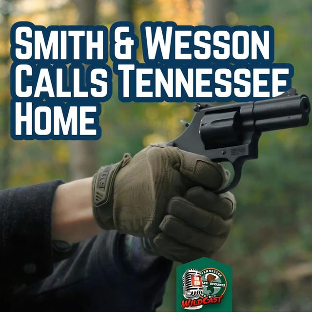 TW 411 - Smith & Wesson Calls Tennessee Home - podcast episode cover