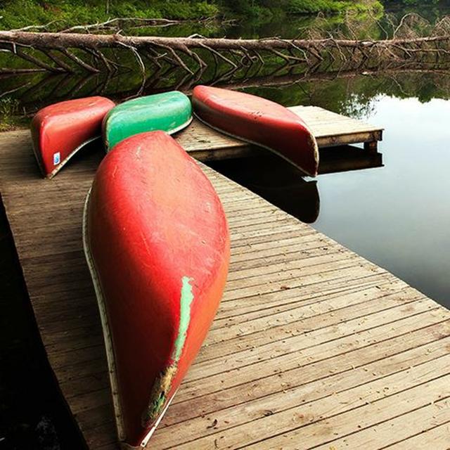 TW 241 - Paddlesport Education, Focus On Safety - podcast episode cover