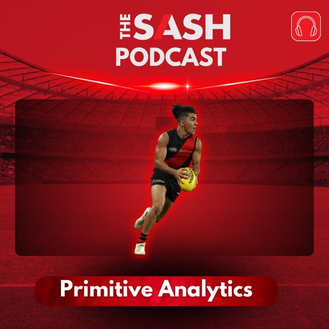 Primitive Analytics - podcast episode cover