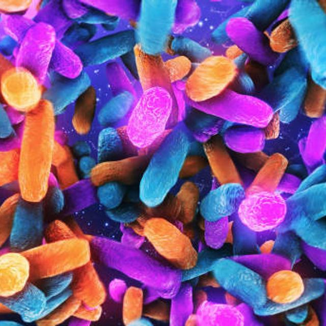 600: Exploring the Power of the Microbiome with Kiran Krishnan - podcast episode cover
