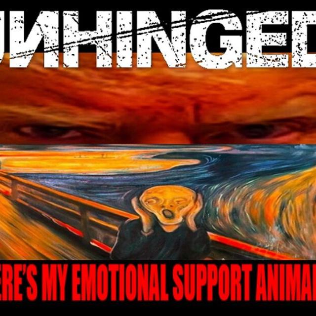 Show sample for 12/11/24: UNHINGED WHERE’S MY EMOTIONAL SUPPORT ANIMAL? W/ KASH KELLY - podcast episode cover