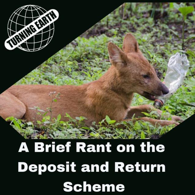DDR E.07 A brief rant on the Deposit and Return Scheme - podcast episode cover