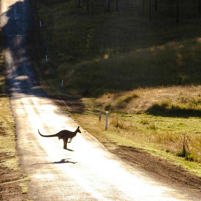 The Basics of the Australian Outback - podcast episode cover