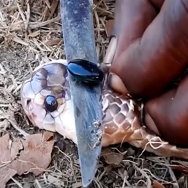 Rarest Stones in The World - podcast episode cover