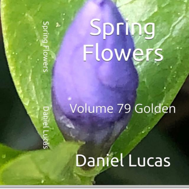 Spring Flowers Volume 79 Golden by Daniel Lucas - podcast episode cover