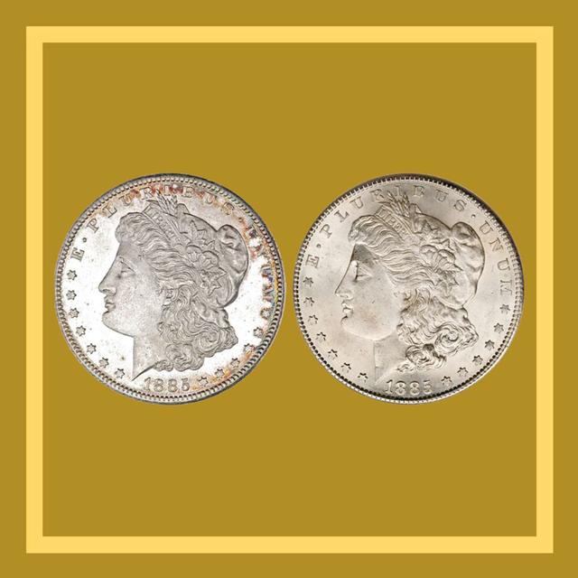 Counterfeit Money (w/ Special Guest Lisa Orkin) - podcast episode cover
