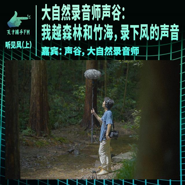 大自然录音师声谷：我越森林和竹海，录下风的声音 | 听见风（上集） - podcast episode cover
