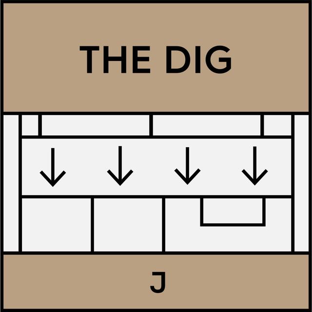 Dig: Financial Empire w/ Daniela Gabor & Ndongo Samba Sylla - podcast episode cover