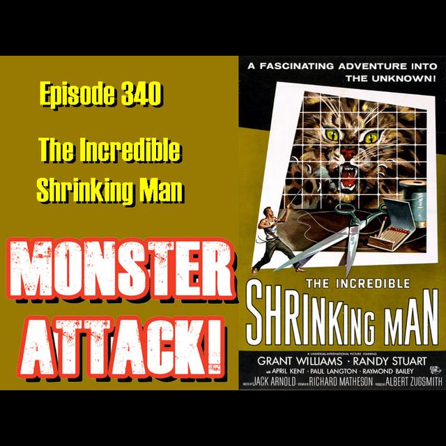 The Incredible Shrinking Man (Revisited) Episode 341 - podcast episode cover