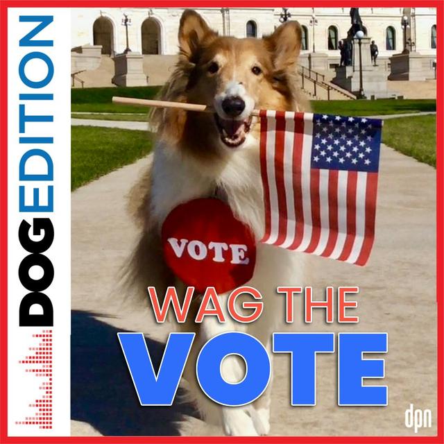 Wag the Vote | Dog Edition #64 - podcast episode cover