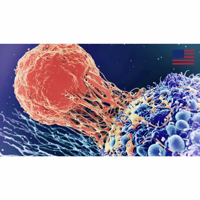 Is The Cure To Cancer Right in Our Lap? - podcast episode cover