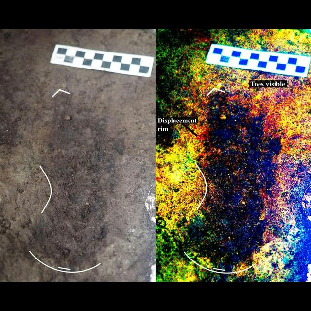 13,000-Year-Old Footprints under West Coast Beach - podcast episode cover