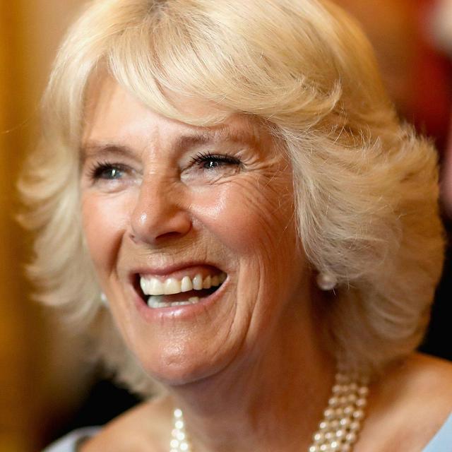 Queen's visit, Duchess of Cornwall goes to Cornwall and Harry makes a speech - podcast episode cover