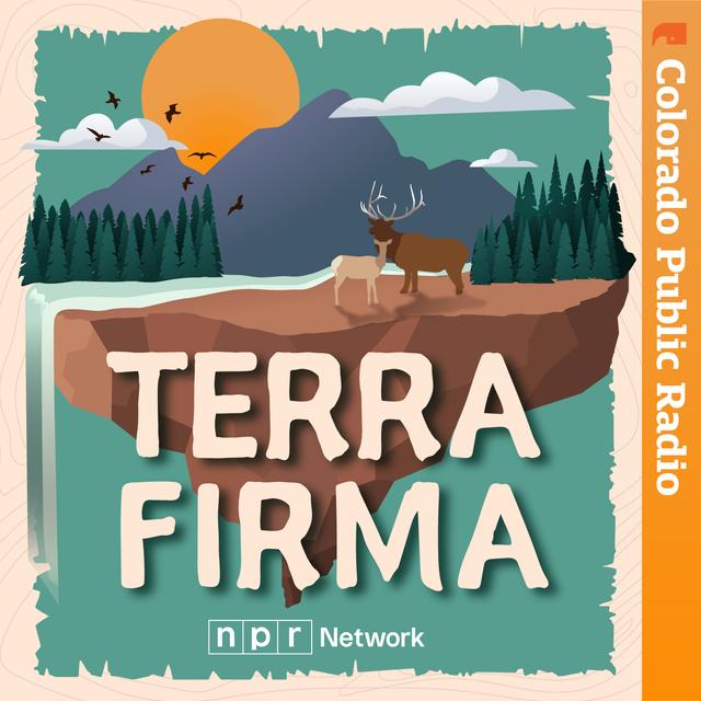 Autumn Road (A forgotten Forest Service road in Idaho) - podcast episode cover