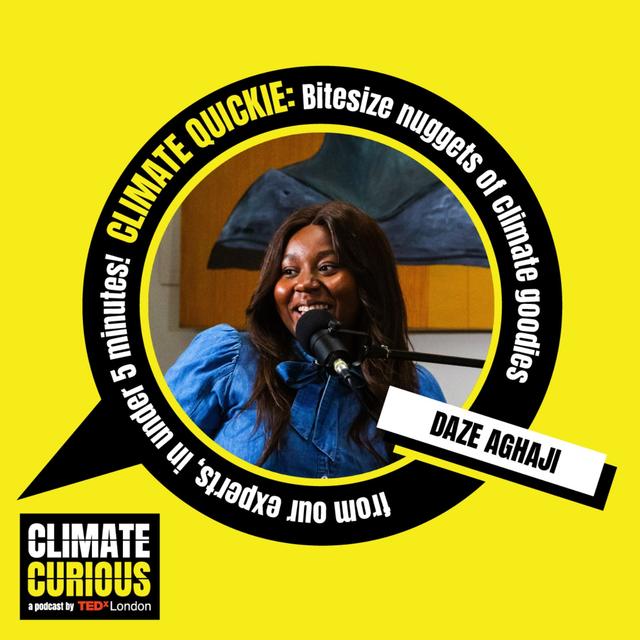 What are regenerative cultures? - podcast episode cover
