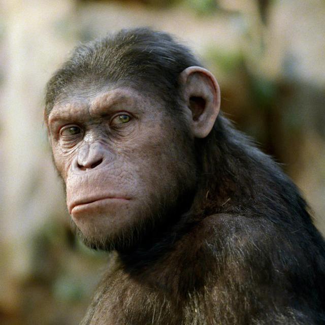 Rise of the Planet of the Apes (2011) - podcast episode cover