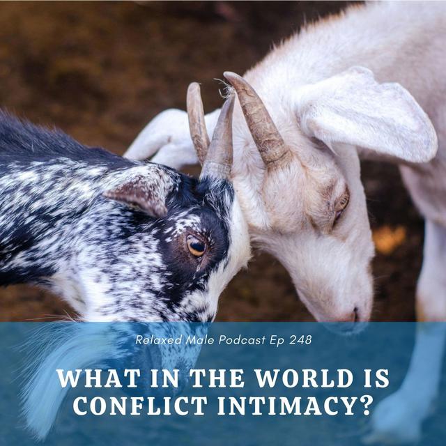 What In The World Is Conflict Intimacy? - podcast episode cover
