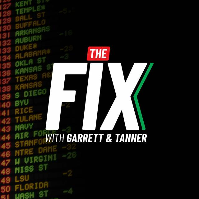TheFix - 004 - podcast episode cover