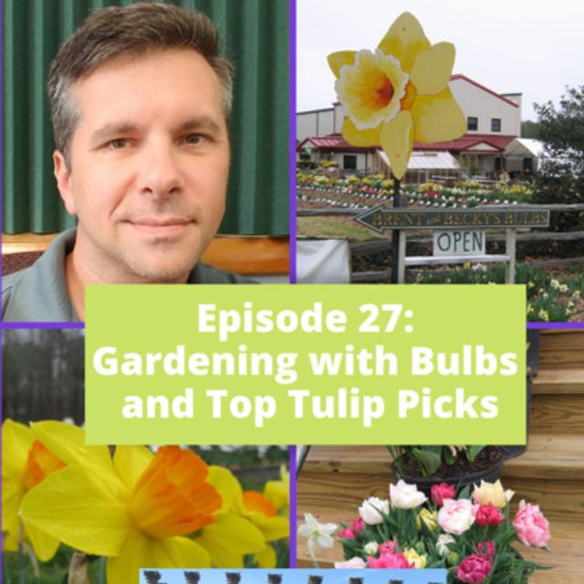 Gardening with Bulbs - podcast episode cover