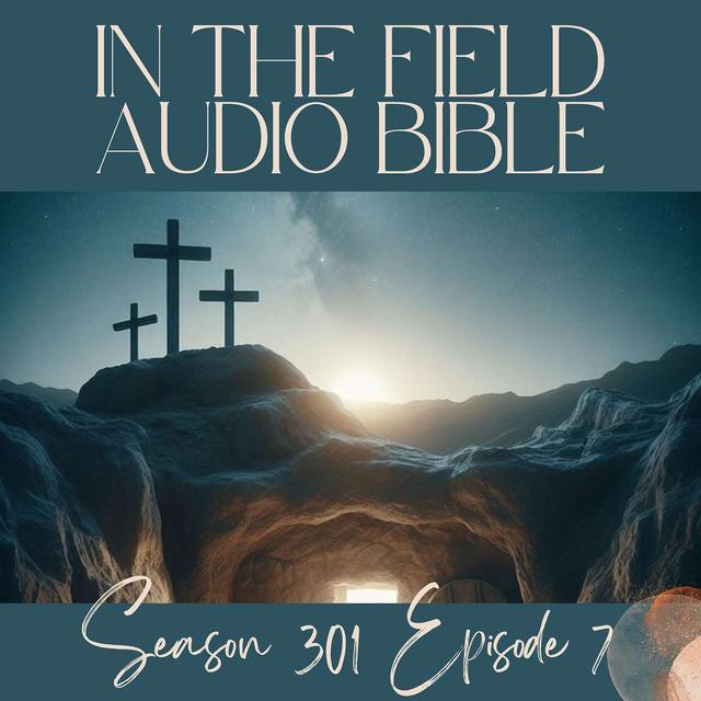 Waiting for His Return: The Meaning of Christ’s Departure - podcast episode cover