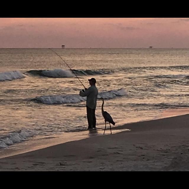 Up North Journal - Seaside Critters on Vacation, Food Plot Planning w/Danny, Choosing a Deer Camp - podcast episode cover