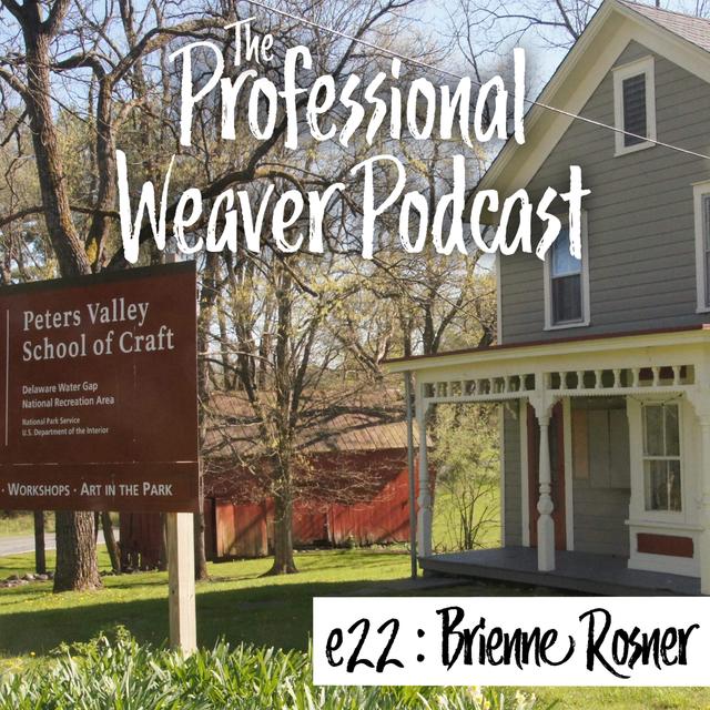 22 - Peters Valley Craft Show is Going Online - podcast episode cover