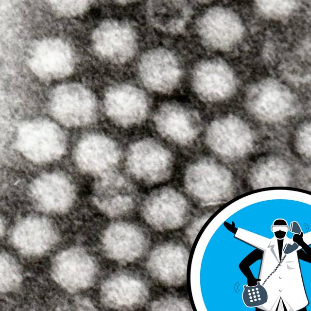 Are urine and sweat the same? - podcast episode cover