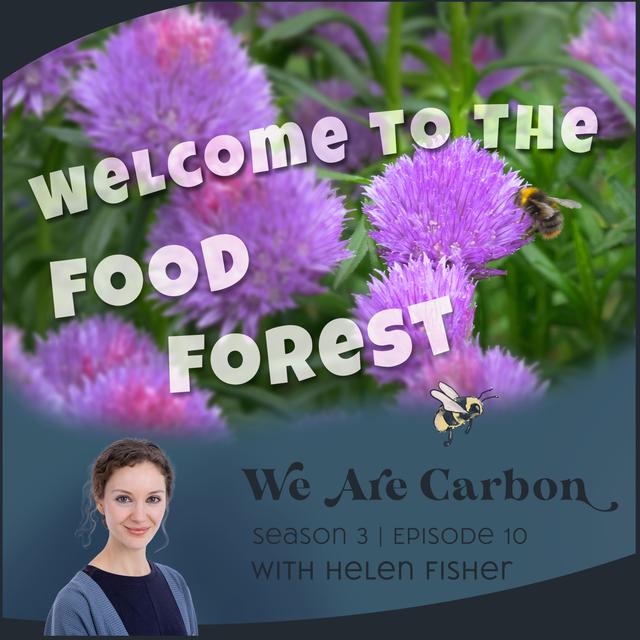 Welcome to the Food Forest! - My Own Small Project of Regeneration - podcast episode cover