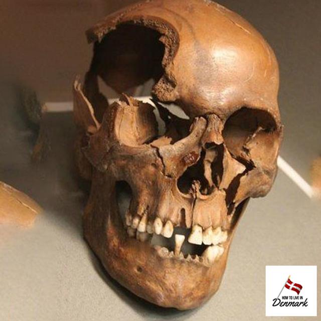 How to Meet a Dead Viking: The Mummies of Denmark - podcast episode cover