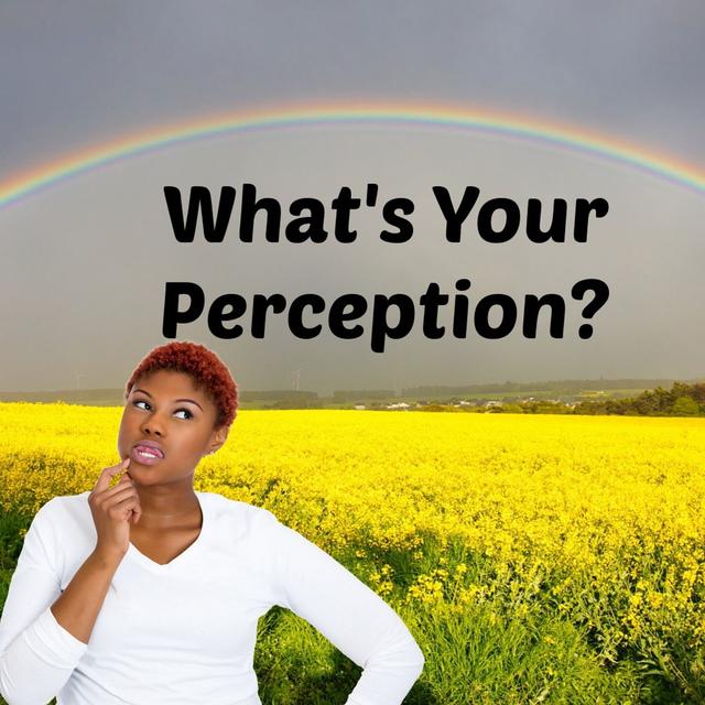 What's Your Perception? - podcast episode cover