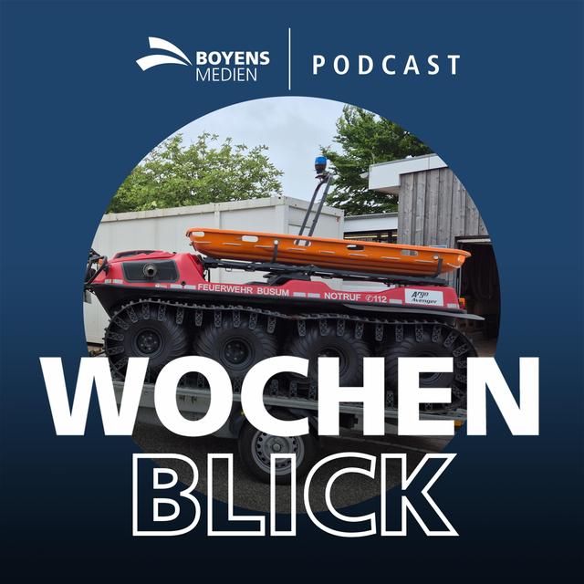 Watt-Retter, Aufstiegsträume und Bernd Stelter - podcast episode cover