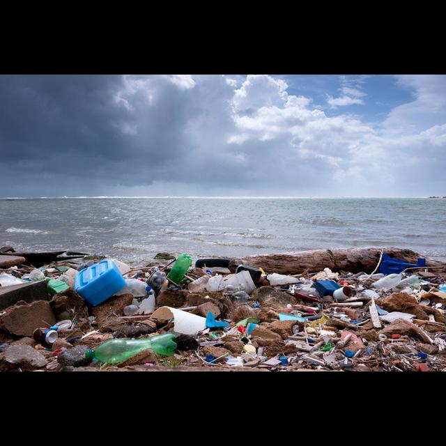 A Biodegradable Label Doesn't Make It So - podcast episode cover