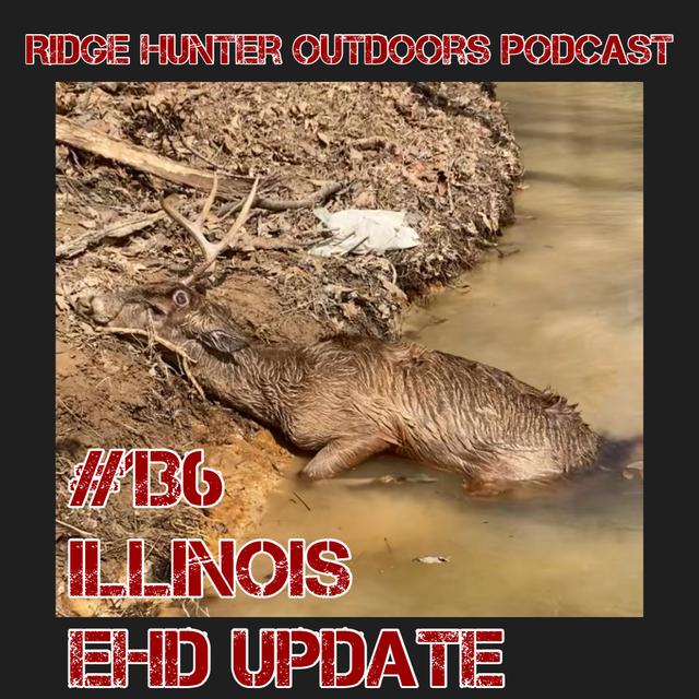 Illinois EHD Update | RHO Podcast #136 - podcast episode cover